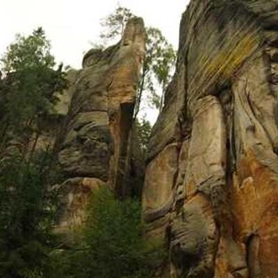 big rocks with some trees